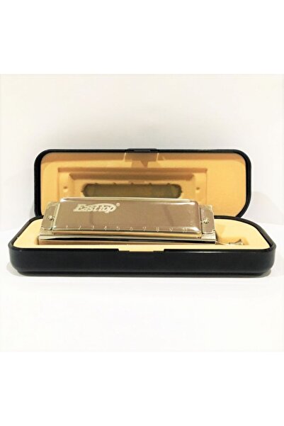 East top T10-40 Harmonica Bakır Gövde / Kromatik Pompalı / 10 Delikli / Gümüş...