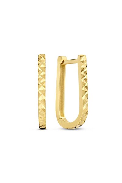 Isabel Bernard 509.00