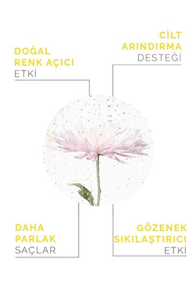 OnkaFarma Onka Farma Papatya Suyu / Hidrosolü Saç Renk Açıcı Tonik Yağı Alınmamış Doğal Içerik 100 ml