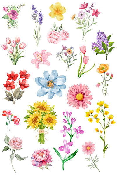 Bimotif Set de autocolante cu flori mixte de 420 de tipuri (20 de coli)