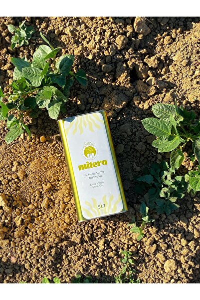 Mitera Olive Oil Ayvalık Mitera Ayvalık Erken Hasat Natürel Sızma Zeytinyağı ...