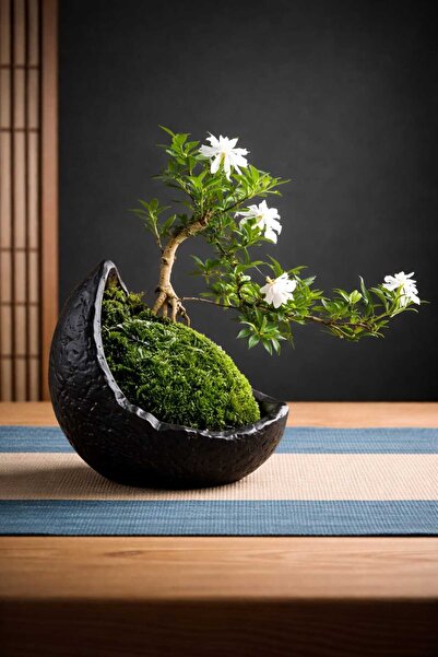 Yaratıcı sanatlar atölyesi Bonsai Saksısı Taş Dokulu Hilal Tasarım Saksı Vazo...