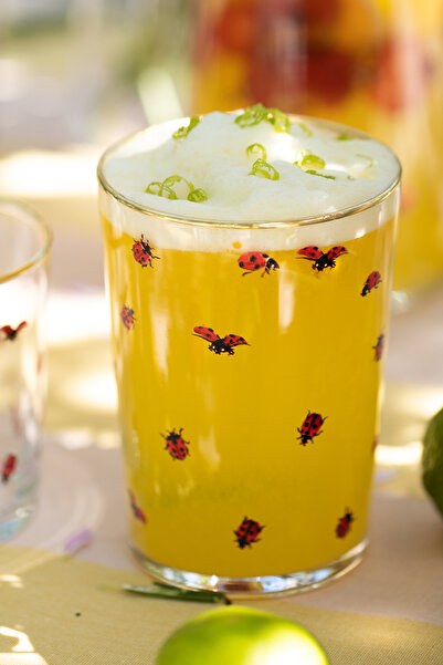 Rakle Lady Bird 4'lü Meşrubat Bardağı Seti 510 cc