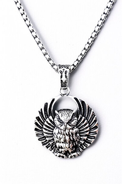 AK STORE SİLVER Erkek, Baykuş Owl (Bilgeliğin Sembolü) Figürlü K-175 Paslanma...