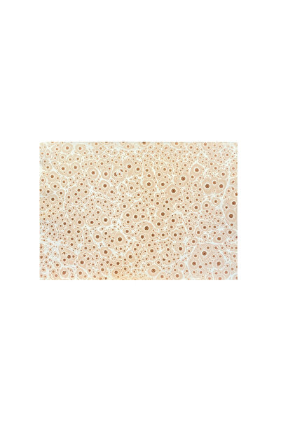 VERA SANAT Nedim Sönmez Original Handmade Marbling Paper -3 Tiger Eye Brown