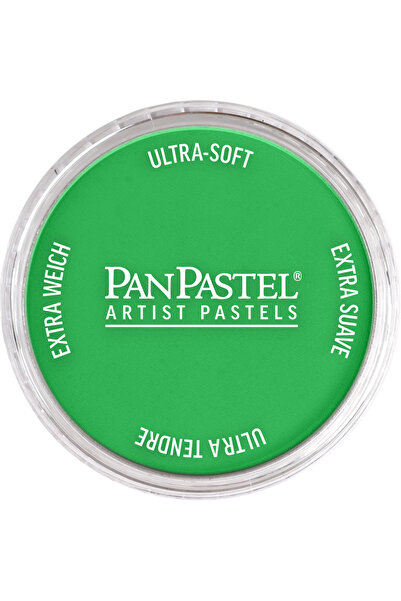 Panpastel Pp 640.5 Permanent Green