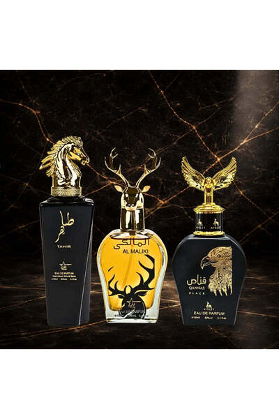 ARYAN Set de 3 parfumuri bărbătești orientale - Tahir + Al Maliki + Qannas Black