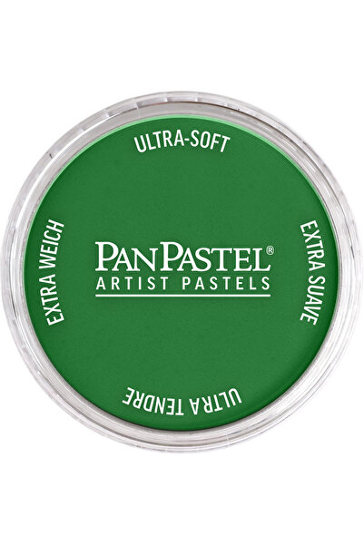 Panpastel Pp 640.3 Perm. Grn Shade