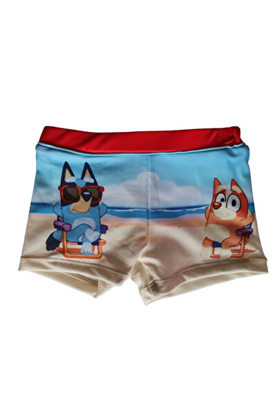 bluey Boys' Swim Boxer Briefs Red