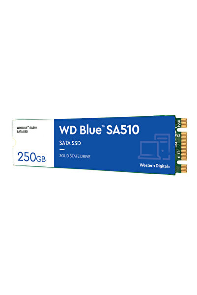 WD SSD 250GB Blue M.2 SATA3 WDS250G3B0B