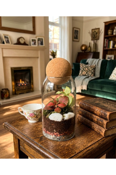 Generic Emerald Hearth Mini Terrarium
