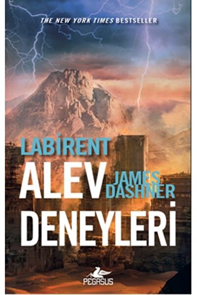 Pegasus Yayınları Labirent - Alev Deneyleri