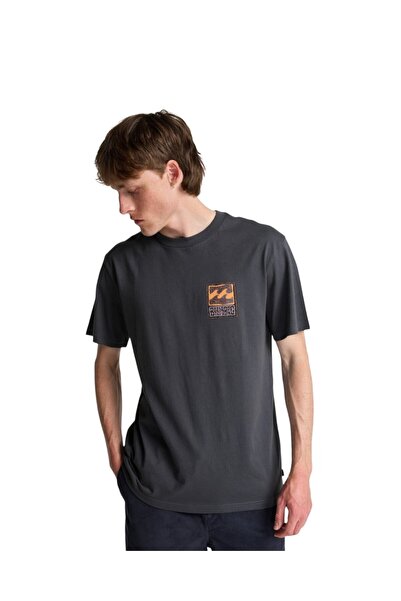 BİLLABONG Men's Blue Stamp Ss Tshirt Ebyzt00293-Krq0