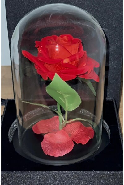 OEM ΜΕΓΑΛΗ ΤΡΙΑΝΤΑΦΥΛΛΑ ΔΙΑΜΟΡΦΩΣΗΣ