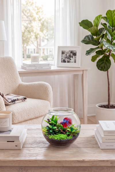 decoronay Mini Cam Fanus 11 cm – Dekoratif Cam Vazo | Mumluk, Teraryum ve Akv...