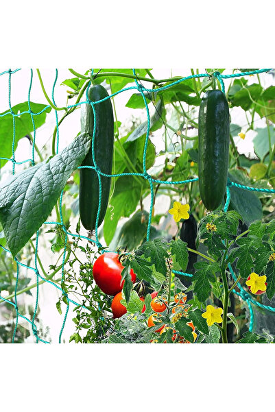 OEM Plasă de susținere pentru plante cățărătoare verde 5x2 m