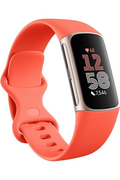 Fitbit جهاز تتبع النشاط جوجل تشارج 6 مع اشتراك بريميوم لمدة 6 أشهر، وبطارية ت...