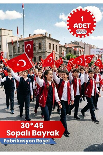 BAYRAK2023 Sopalı Türk Bayrağı 30*45 Cm - Raşel Fabrikasyon (1 ADET)