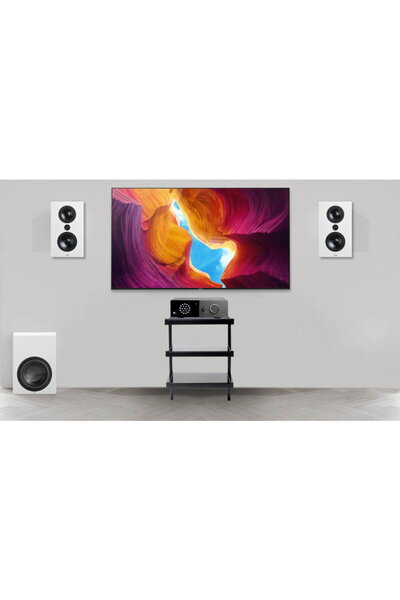 LYNGDORF Sistem Stereo TDAI-1120 + boxe de perete full-range FR-1 + Subwoofer...