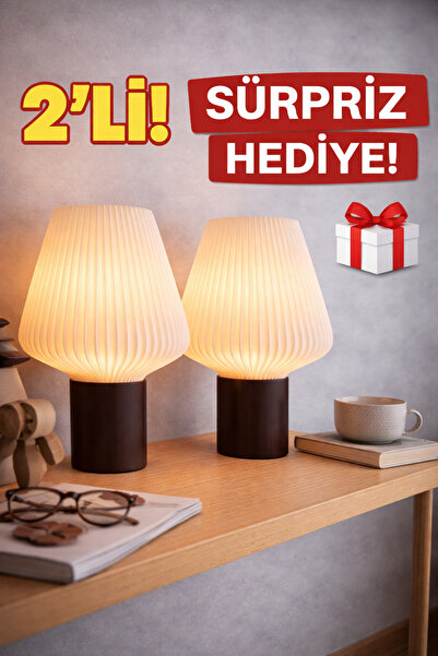 RAINTECH 2-Piece Lampshade Night Light Decorative Table Lamp Bedroom Living Room