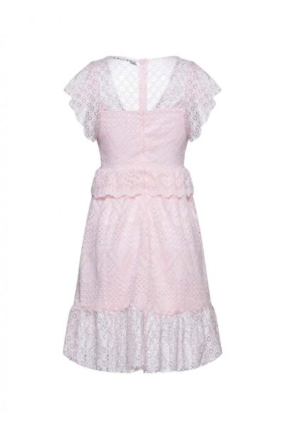 Generic Pink Lace Dress