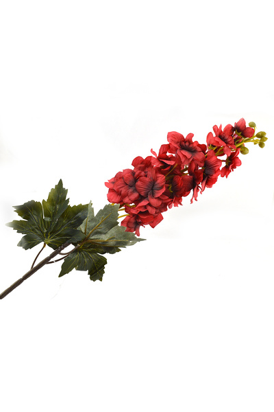 AFO Δελφίνιο ροζ C21-75