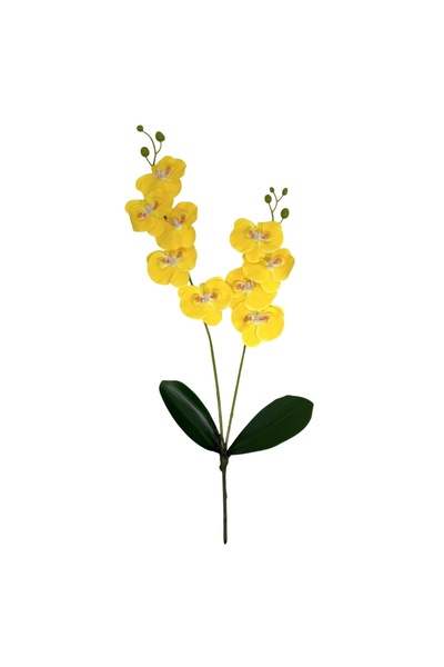 AFO Διπλή κλωστή ορχιδέας Karin Aloha Κίτρινο