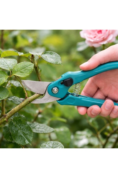 Progarden Κλαδευτήρι κήπου με ατσάλινη λεπίδα και τιρκουάζ πλαστική λαβή, 18 εκ.