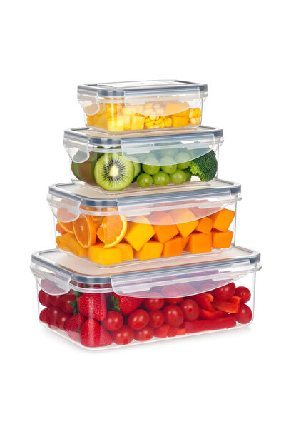 Vilde Set de 4 recipiente pentru depozitarea alimentelor, cu capac și închide...
