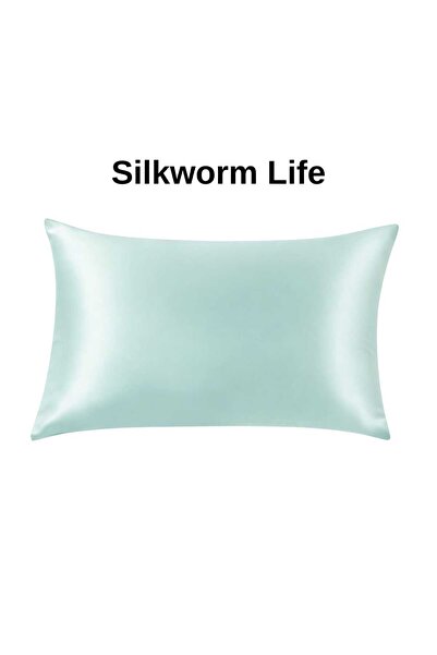 silkwormlife ΜΑΝΤΕΙΝΤ ΧΡΩΜΑΤΙΣΤΗ 100% Μεταξωτή Μαξιλαροθήκη (50 εκ. - 70 εκ.)...