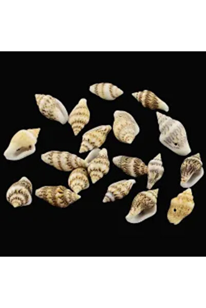 GemSale Pandantive din scoici 10-22mm 49g~150 bucăți (mici)