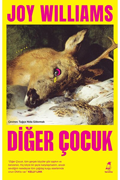 Tersine Kitap Diğer Çocuk