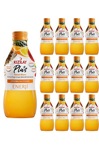 Kızılay Plus Karışık Meyve Aromalı Doğal Zengin Mineralli Maden suyu 12 adet