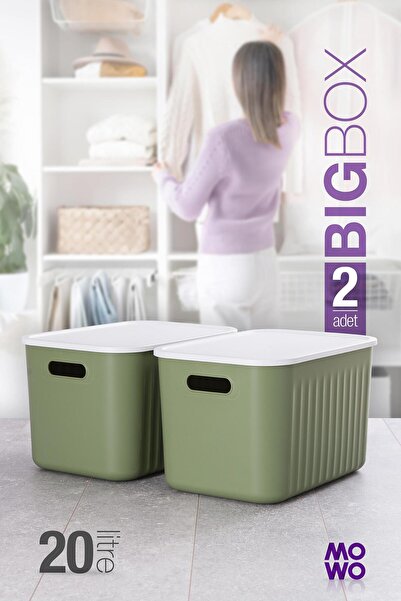 Mowo Home Bigbox 20 Lt 2-Piece Green Closet Organizer Storage Box with Lid Ba...