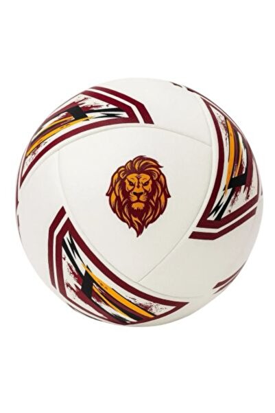 Derin Yayınları Galatasaray Futbol Topu Newforce 01 No5 *25