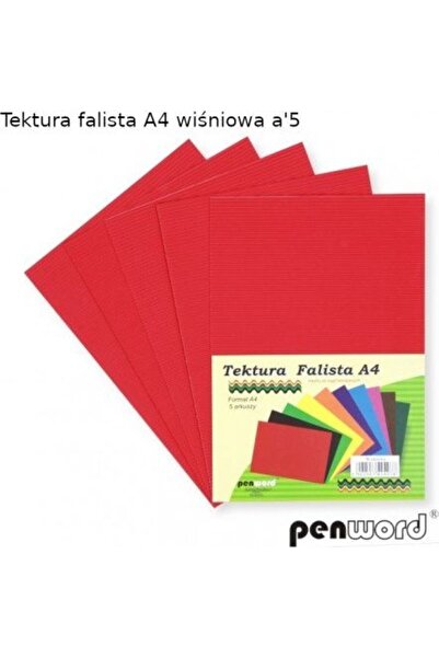PENWORD Carton ondulat A4, turcoaz, 5 buc.