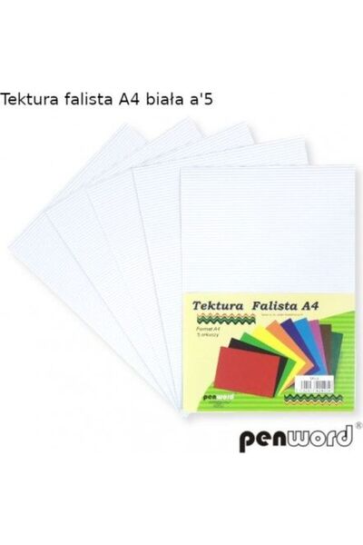 PENWORD Carton ondulat A4 alb 5 bucăți
