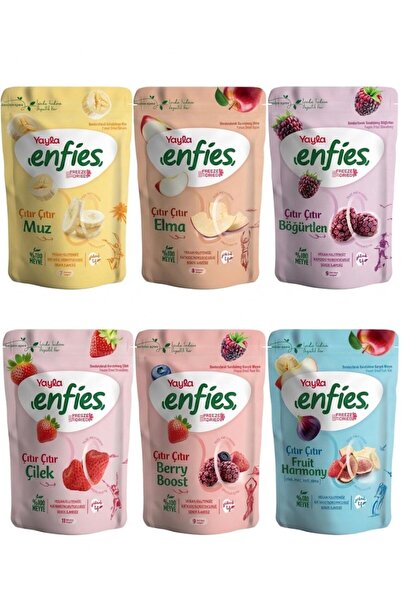 Yayla Freeze Dondurularak Kurutulmuş Meyve 6'li DEV Tanışma Paketi