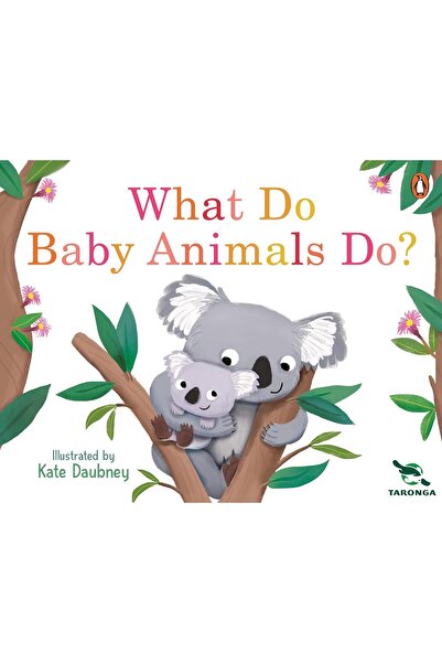 PUFFIN Τι κάνουν τα μωρά ζωάκια;