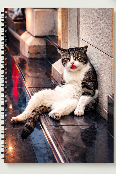 BLACKONECLASS Fenomen Cat Themed A5 Metal Spiral Unlined Cardboard Cover Spec...