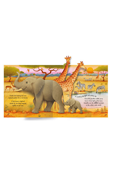 Usborne Pop-Up Animals Publishing