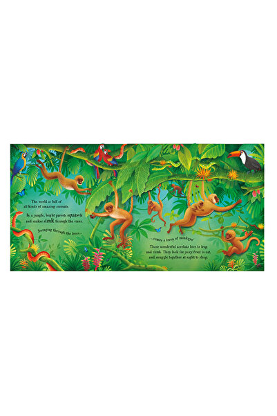 Usborne Pop-Up Animals Publishing