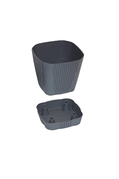 Alezy ZB03 Tabaklı Zambak Saksı 3,4 lt 17,5 cm Antrasit