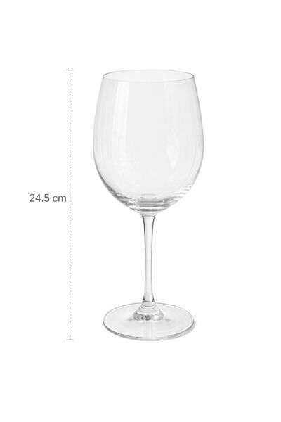 Bev Kitchen 2 Adet 500 ml Kadeh Şarap Meşrubat Kadehi 24.5 cm