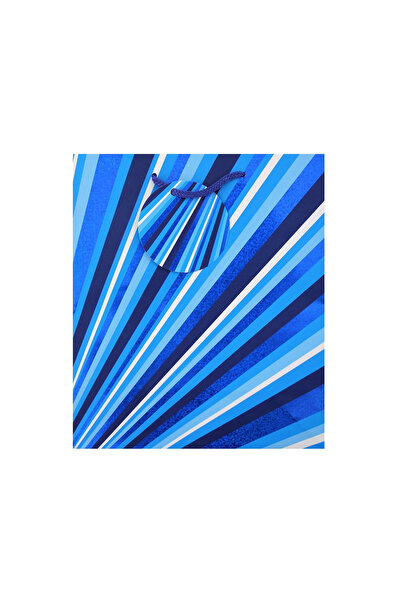 Eurowrap Χάρτινη τσάντα δώρου M STRIPES