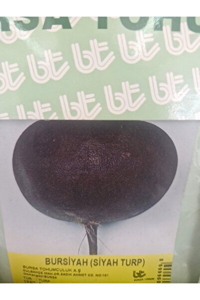 BURSİYAH TURP TOHUMU 25 GR