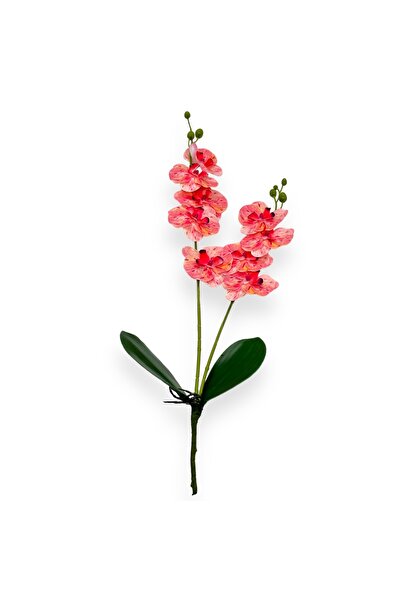 AFO Διπλό νήμα ορχιδέας Κάριν Αλόχα ροζ