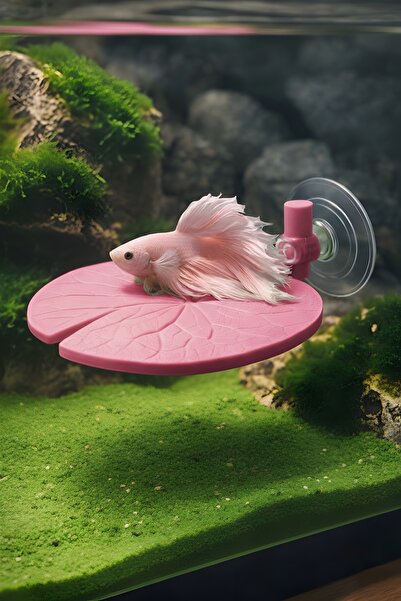 Akvaryum Beta Dinlenme Alanı Nilüfer Yaprağı ( Pembe ve Tonları )