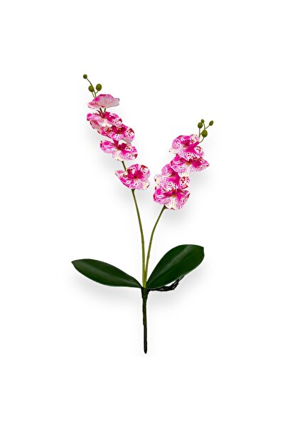 AFO Νήμα διπλής ορχιδέας Κάριν Αλόχα λευκός συκαμόρος