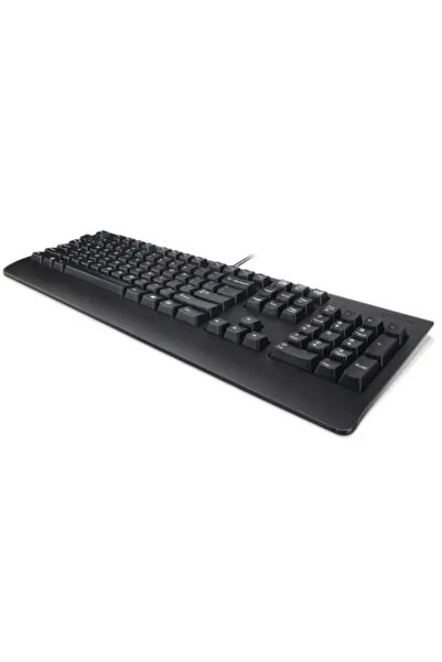 LENOVO Tastatură USB TRDTNL KB BK 189 FR Preferred Pro II, Dimensiune complet...